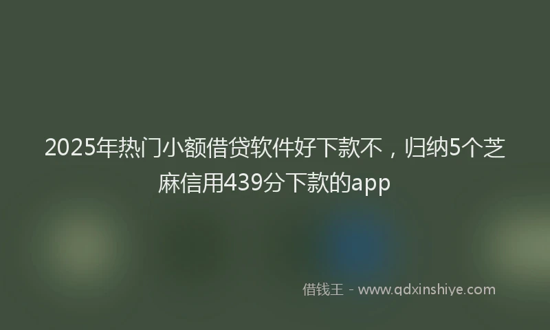 2025年热门小额借贷软件好下款不，归纳5个芝麻信用439分下款的app