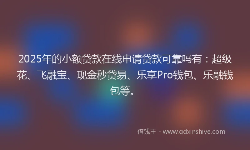 2025年的小额贷款在线申请贷款可靠吗有：超级花、飞融宝、现金秒贷易、乐享Pro钱包、乐融钱包等。