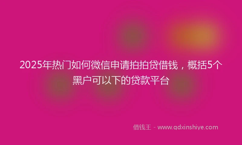 2025年热门如何微信申请拍拍贷借钱，概括5个黑户可以下的贷款平台