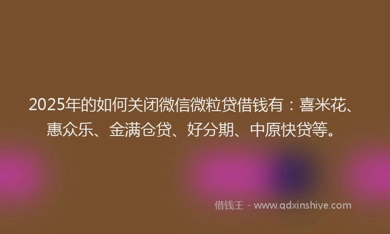 2025年的如何关闭微信微粒贷借钱有：喜米花、惠众乐、金满仓贷、好分期、中原快贷等。