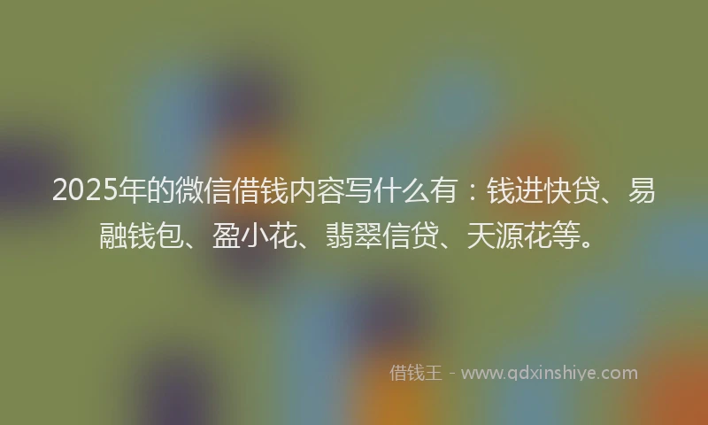 2025年的微信借钱内容写什么有：钱进快贷、易融钱包、盈小花、翡翠信贷、天源花等。