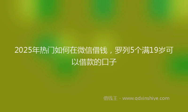 2025年热门如何在微信借钱，罗列5个满19岁可以借款的口子