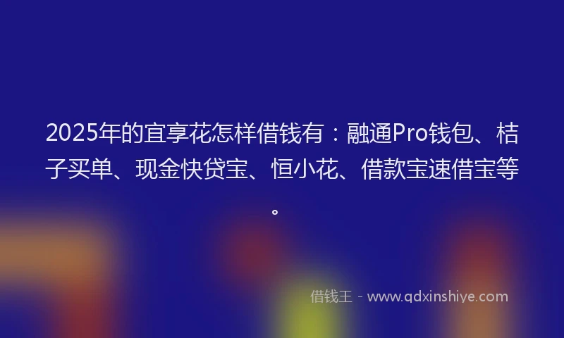 2025年的宜享花怎样借钱有：融通Pro钱包、桔子买单、现金快贷宝、恒小花、借款宝速借宝等。