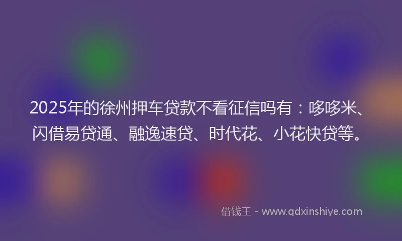 2025年的徐州押车贷款不看征信吗有：哆哆米、闪借易贷通、融逸速贷、时代花、小花快贷等。