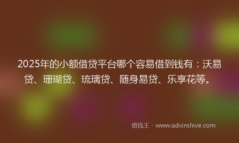 2025年的小额借贷平台哪个容易借到钱有：沃易贷、珊瑚贷、琉璃贷、随身易贷、乐享花等。
