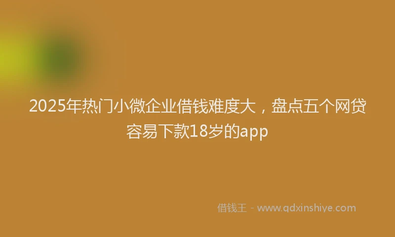 2025年热门小微企业借钱难度大，盘点五个网贷容易下款18岁的app