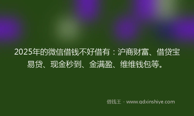 2025年的微信借钱不好借有：沪商财富、借贷宝易贷、现金秒到、金满盈、维维钱包等。