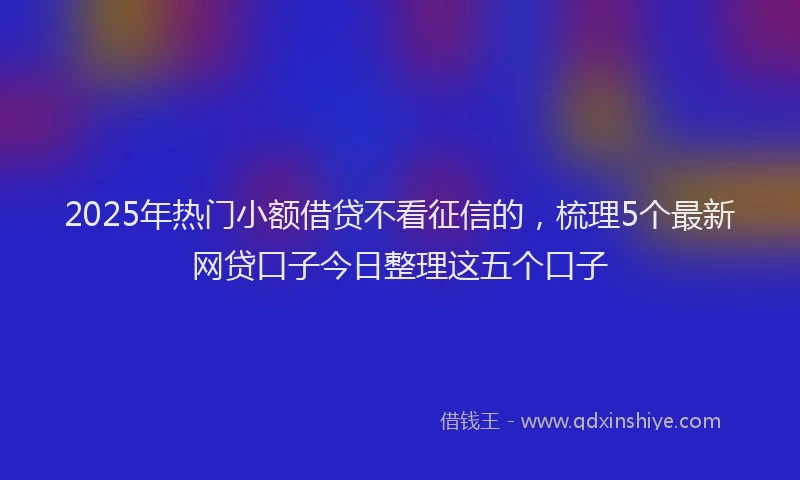 2025年热门小额借贷不看征信的，梳理5个最新网贷口子今日整理这五个口子