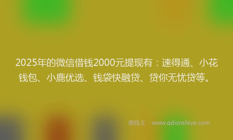 2025年的微信借钱2000元提现有：速得通、小花钱包、小鹿优选、钱袋快融贷、贷你无忧贷等。