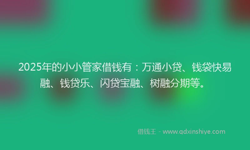2025年的小小管家借钱有：万通小贷、钱袋快易融、钱贷乐、闪贷宝融、树融分期等。