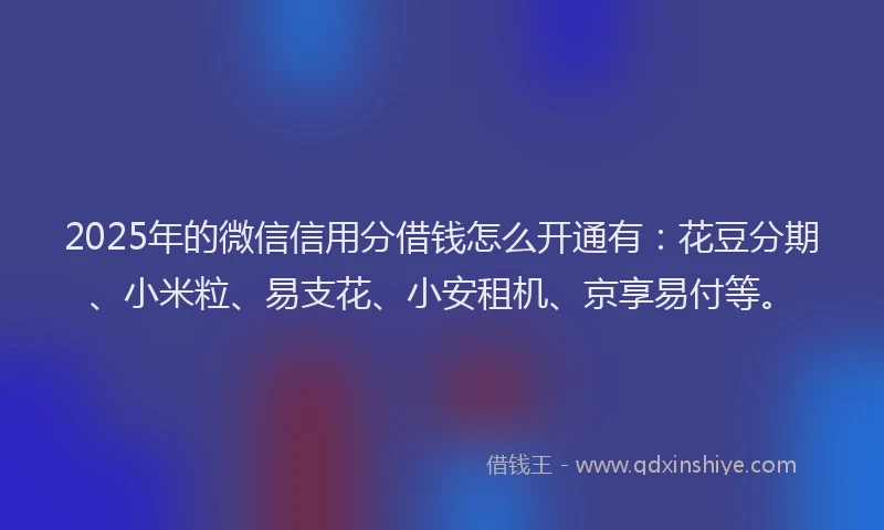 2025年的微信信用分借钱怎么开通有：花豆分期、小米粒、易支花、小安租机、京享易付等。