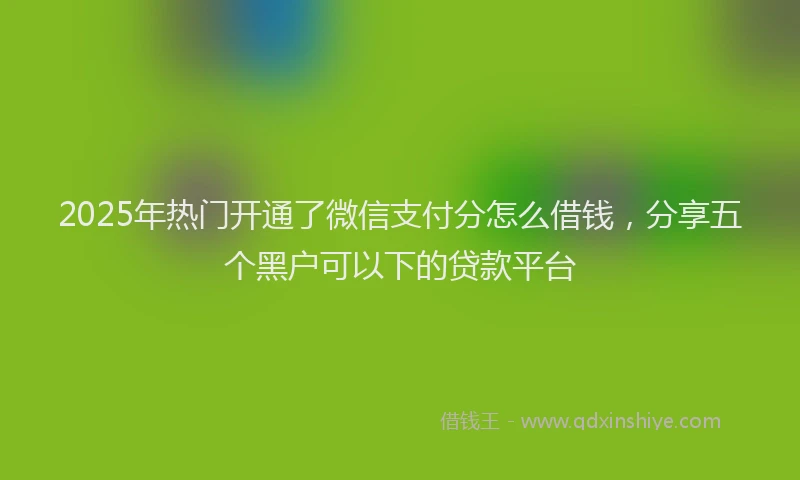 2025年热门开通了微信支付分怎么借钱，分享五个黑户可以下的贷款平台