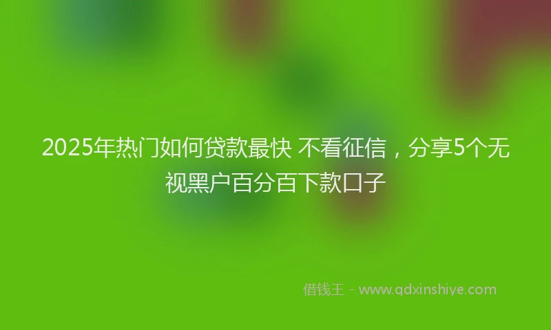 2025年热门如何贷款最快 不看征信，分享5个无视黑户百分百下款口子