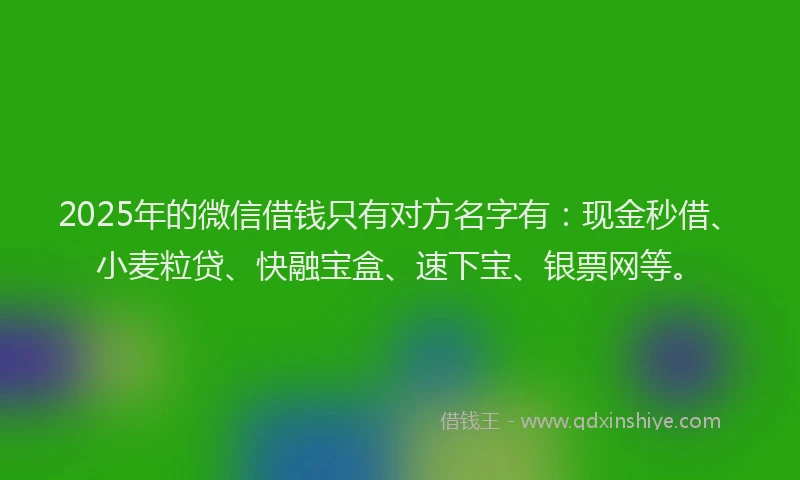2025年的微信借钱只有对方名字有：现金秒借、小麦粒贷、快融宝盒、速下宝、银票网等。