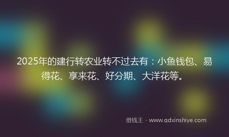 2025年的建行转农业转不过去有：小鱼钱包、易得花、享来花、好分期、大洋花等。