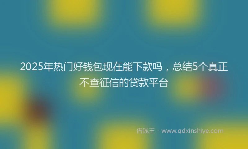 2025年热门好钱包现在能下款吗，总结5个真正不查征信的贷款平台