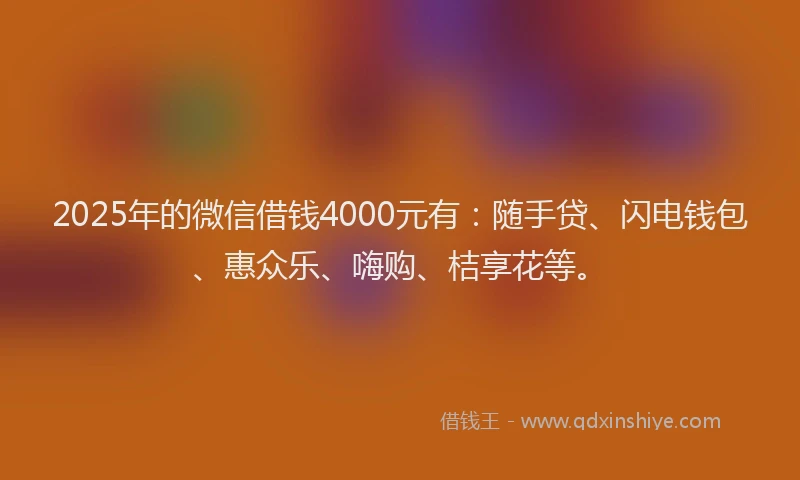 2025年的微信借钱4000元有：随手贷、闪电钱包、惠众乐、嗨购、桔享花等。
