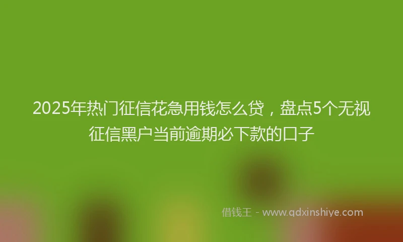2025年热门征信花急用钱怎么贷，盘点5个无视征信黑户当前逾期必下款的口子