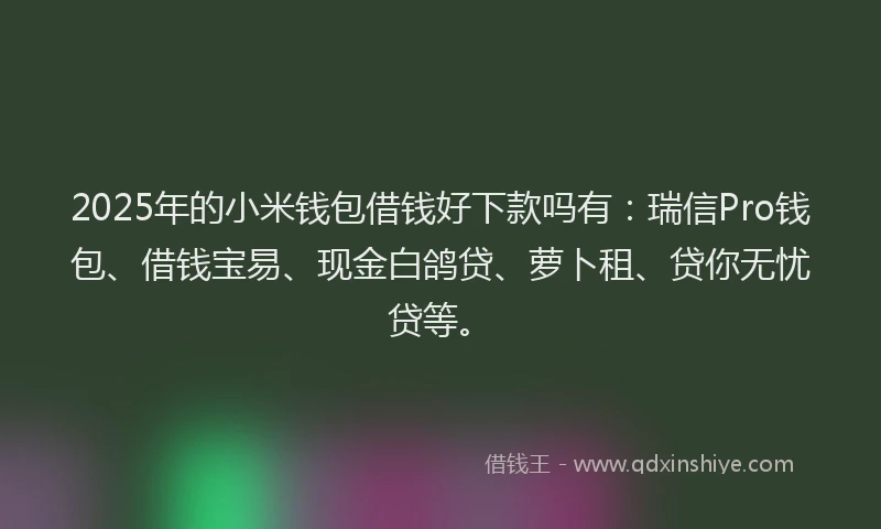 2025年的小米钱包借钱好下款吗有：瑞信Pro钱包、借钱宝易、现金白鸽贷、萝卜租、贷你无忧贷等。