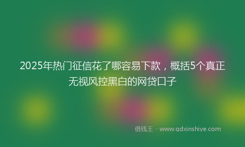 2025年热门征信花了哪容易下款，概括5个真正无视风控黑白的网贷口子