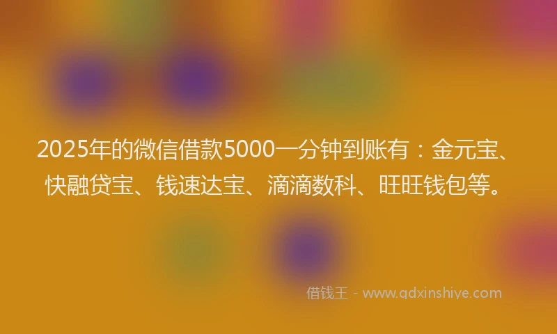 2025年的微信借款5000一分钟到账有：金元宝、快融贷宝、钱速达宝、滴滴数科、旺旺钱包等。
