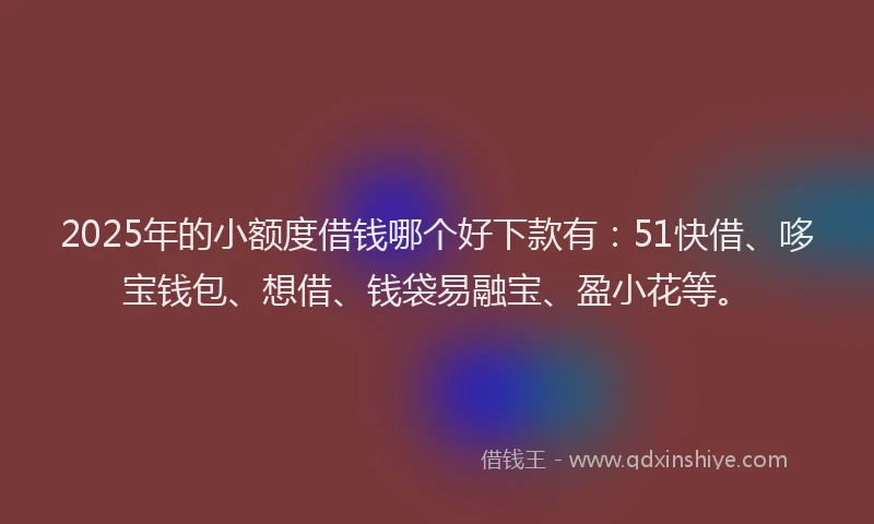 2025年的小额度借钱哪个好下款有：51快借、哆宝钱包、想借、钱袋易融宝、盈小花等。