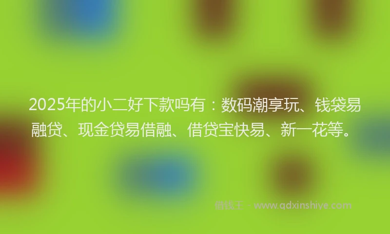 2025年的小二好下款吗有：数码潮享玩、钱袋易融贷、现金贷易借融、借贷宝快易、新一花等。