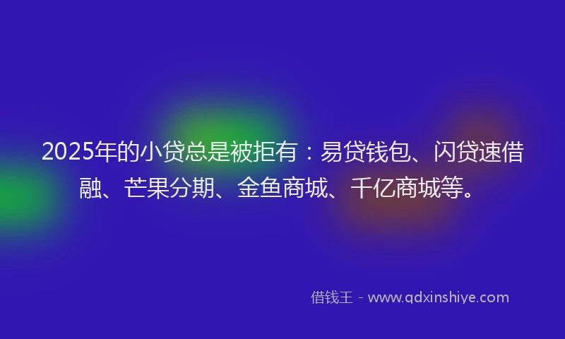 2025年的小贷总是被拒有：易贷钱包、闪贷速借融、芒果分期、金鱼商城、千亿商城等。