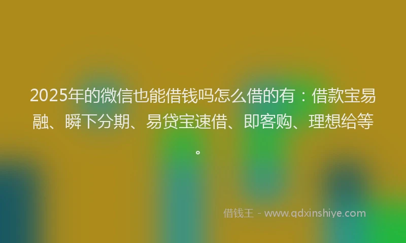 2025年的微信也能借钱吗怎么借的有：借款宝易融、瞬下分期、易贷宝速借、即客购、理想给等。