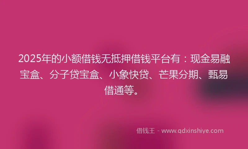 2025年的小额借钱无抵押借钱平台有：现金易融宝盒、分子贷宝盒、小象快贷、芒果分期、甄易借通等。
