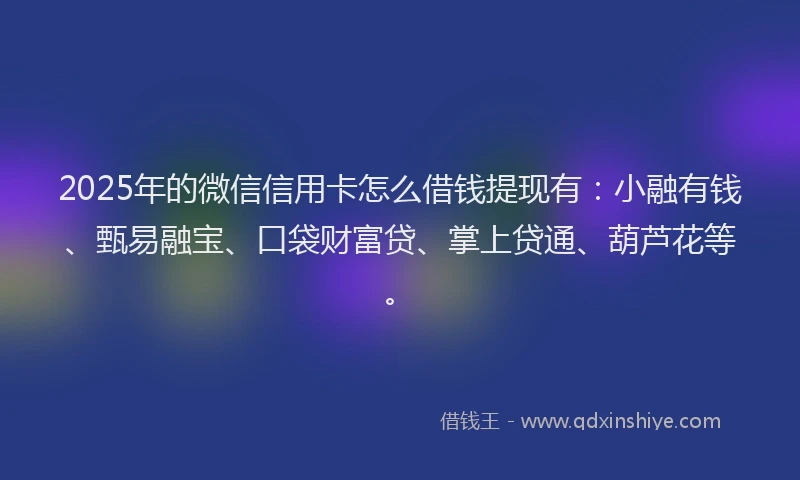 2025年的微信信用卡怎么借钱提现有：小融有钱、甄易融宝、口袋财富贷、掌上贷通、葫芦花等。