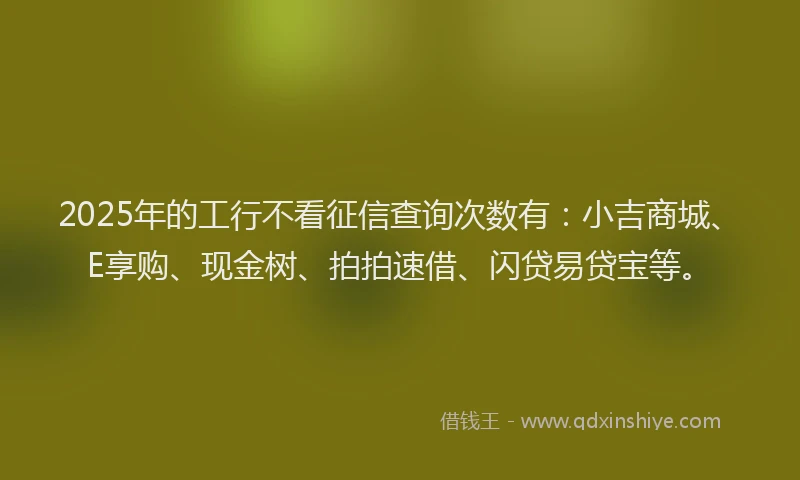 2025年的工行不看征信查询次数有：小吉商城、E享购、现金树、拍拍速借、闪贷易贷宝等。