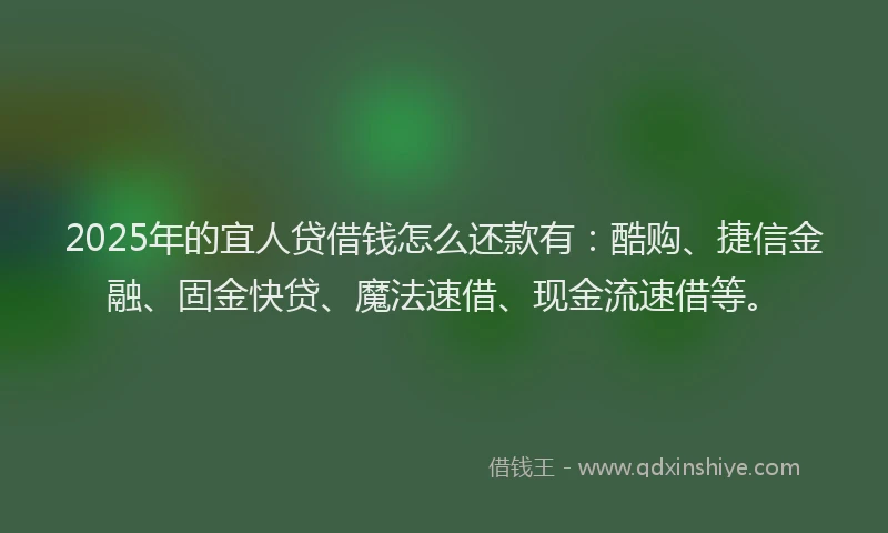 2025年的宜人贷借钱怎么还款有：酷购、捷信金融、固金快贷、魔法速借、现金流速借等。