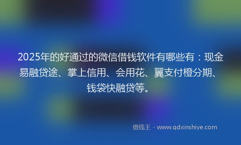 2025年的好通过的微信借钱软件有哪些有：现金易融贷途、掌上信用、会用花、翼支付橙分期、钱袋快融贷等。