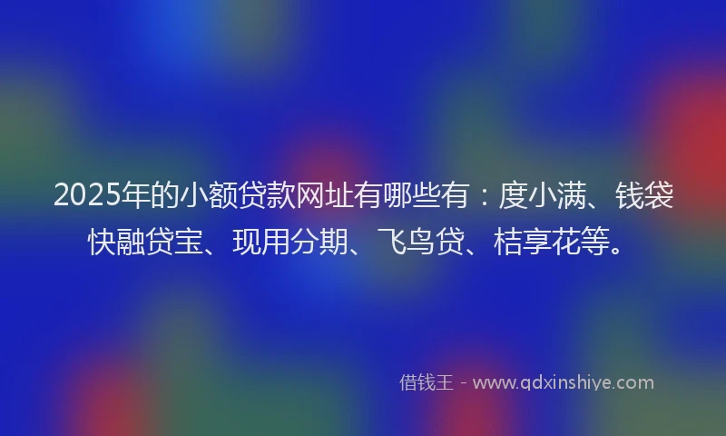 2025年的小额贷款网址有哪些有：度小满、钱袋快融贷宝、现用分期、飞鸟贷、桔享花等。
