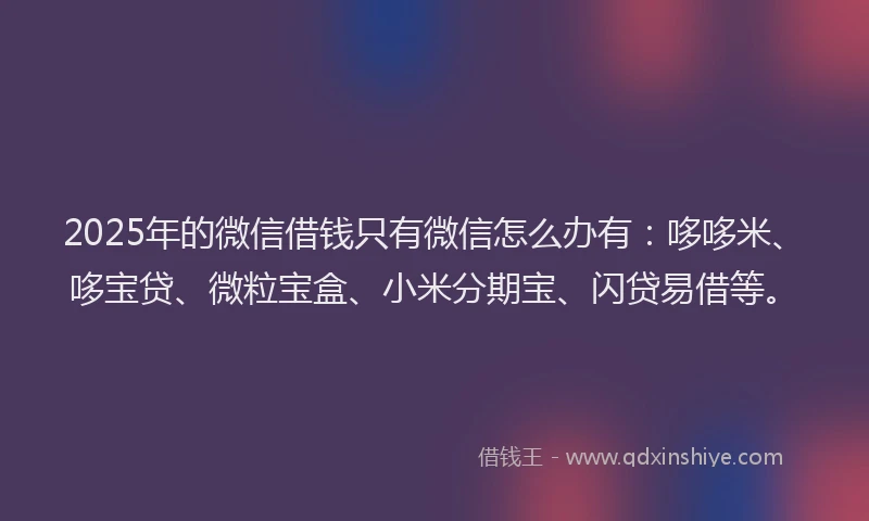 2025年的微信借钱只有微信怎么办有：哆哆米、哆宝贷、微粒宝盒、小米分期宝、闪贷易借等。