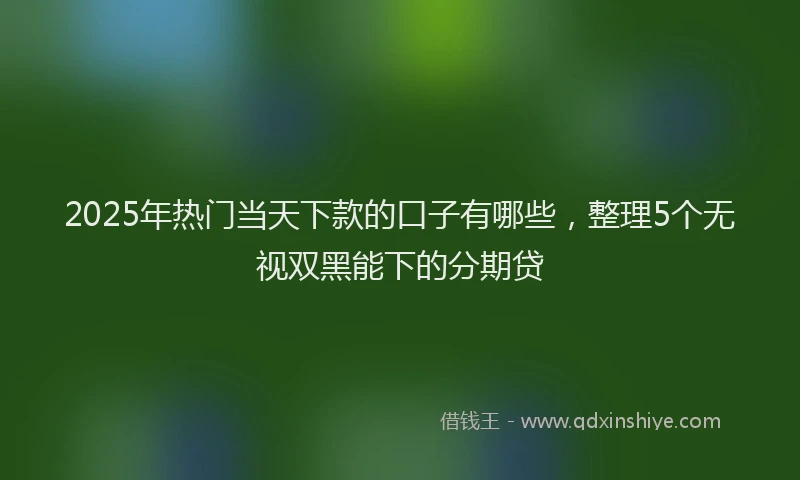 2025年热门当天下款的口子有哪些，整理5个无视双黑能下的分期贷
