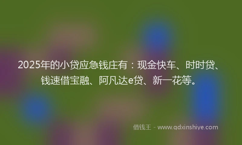 2025年的小贷应急钱庄有：现金快车、时时贷、钱速借宝融、阿凡达e贷、新一花等。