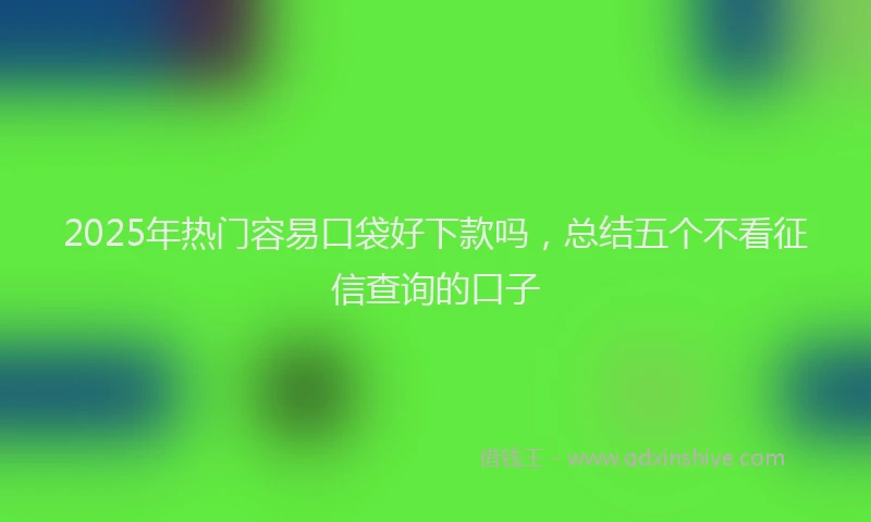 2025年热门容易口袋好下款吗，总结五个不看征信查询的口子