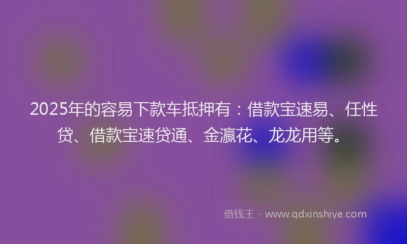 2025年的容易下款车抵押有：借款宝速易、任性贷、借款宝速贷通、金瀛花、龙龙用等。