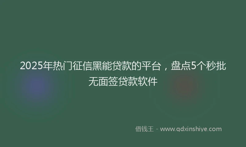 2025年热门征信黑能贷款的平台，盘点5个秒批无面签贷款软件