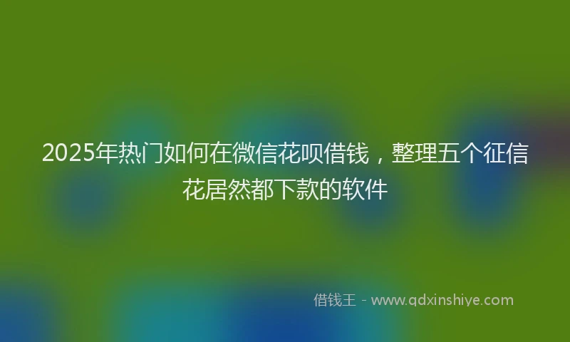 2025年热门如何在微信花呗借钱，整理五个征信花居然都下款的软件