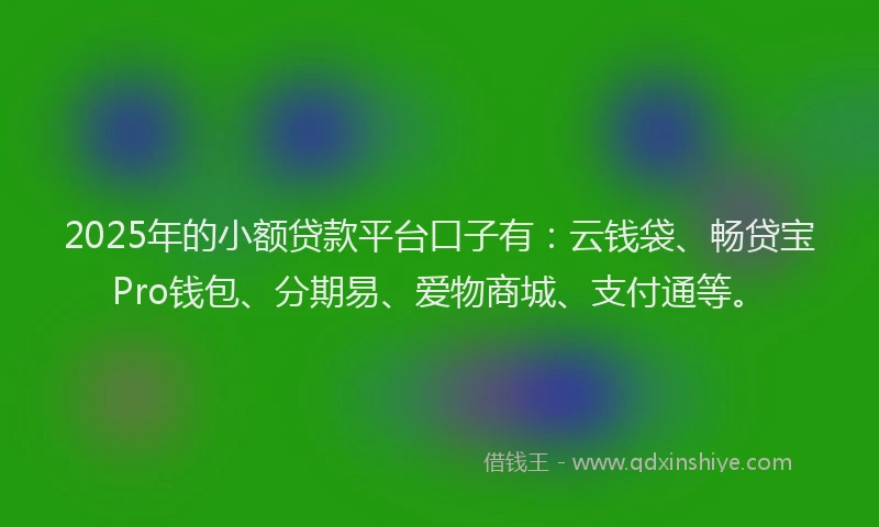 2025年的小额贷款平台口子有：云钱袋、畅贷宝Pro钱包、分期易、爱物商城、支付通等。