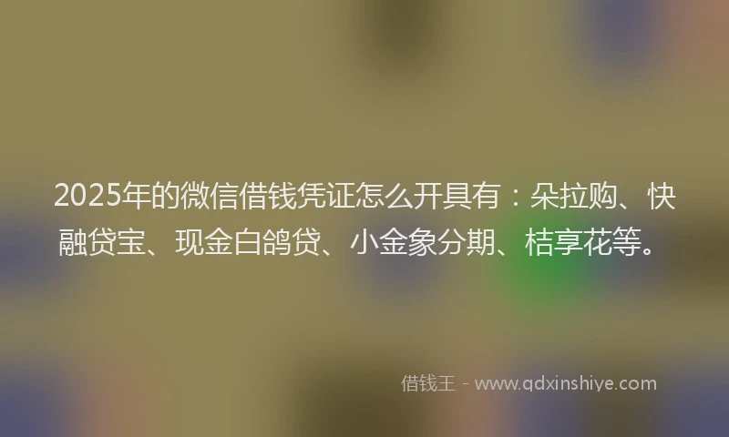 2025年的微信借钱凭证怎么开具有：朵拉购、快融贷宝、现金白鸽贷、小金象分期、桔享花等。