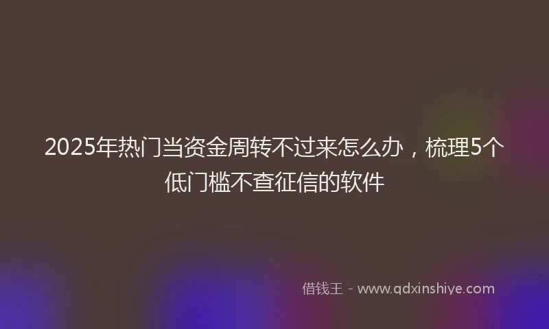 2025年热门当资金周转不过来怎么办，梳理5个低门槛不查征信的软件