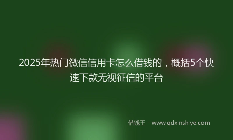 2025年热门微信信用卡怎么借钱的，概括5个快速下款无视征信的平台