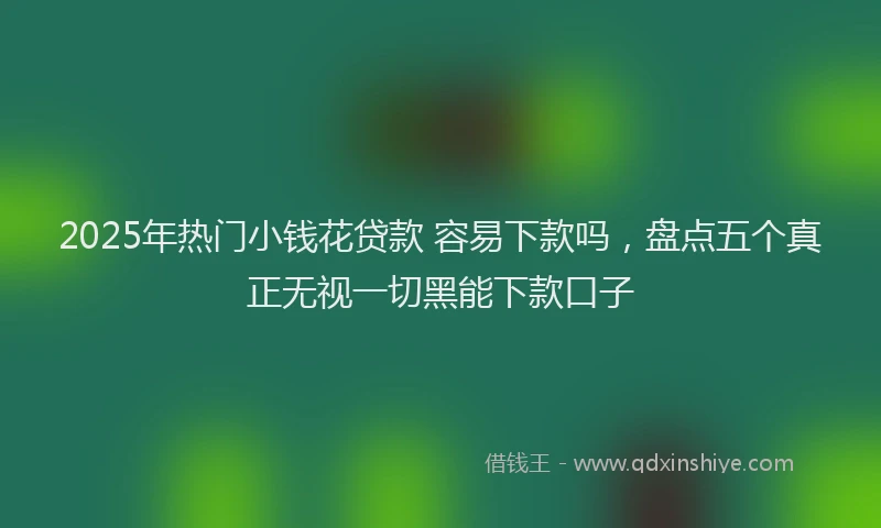 2025年热门小钱花贷款 容易下款吗，盘点五个真正无视一切黑能下款口子