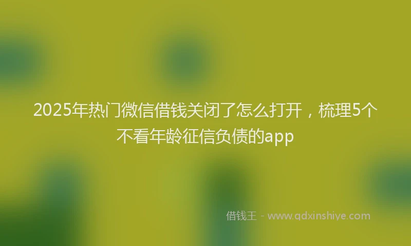 2025年热门微信借钱关闭了怎么打开，梳理5个不看年龄征信负债的app