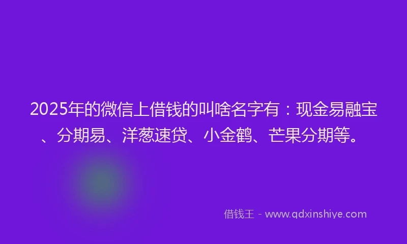 2025年的微信上借钱的叫啥名字有：现金易融宝、分期易、洋葱速贷、小金鹤、芒果分期等。