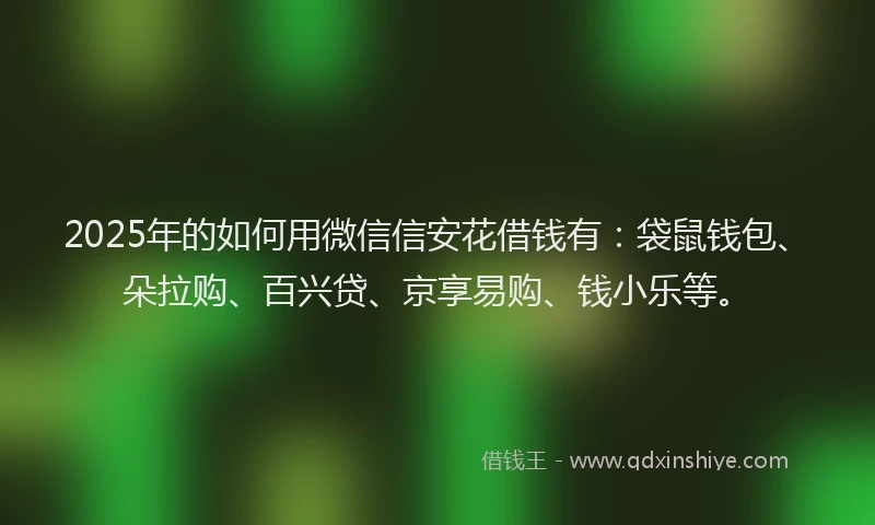 2025年的如何用微信信安花借钱有：袋鼠钱包、朵拉购、百兴贷、京享易购、钱小乐等。
